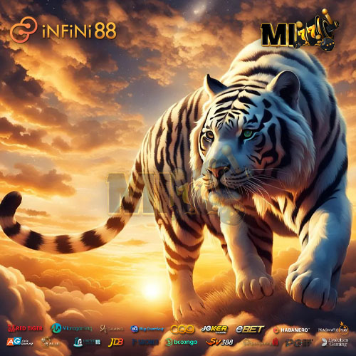 MI77